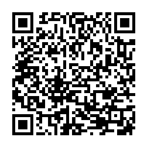 他们完全就没想到咱家买的那些地皮一开始居然只是我想哄咱们大力开心二维码生成