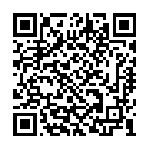 他们完全没想到一个修为最高不过天罡境的武者二维码生成