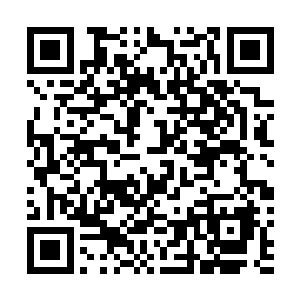 他们实在是没有理由在这最后一场比赛中阴沟里翻船……二维码生成