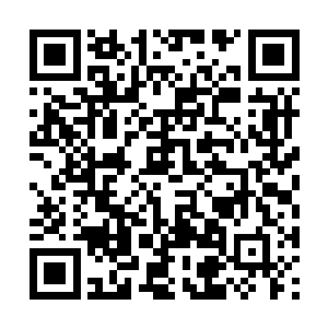 他们实在没有必要培养自己这个外人去做这样的事二维码生成