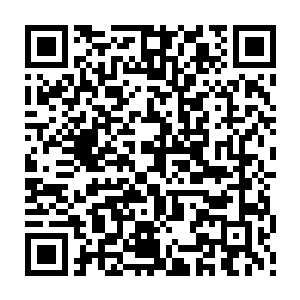 他们家可就只剩下两头年纪最小不够参军年龄的大幼崽带着三头小幼崽了二维码生成