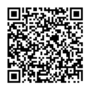 他们对于万里黄沙大阵很熟因为在莲花峰之外就布设着一座万里黄沙大阵二维码生成