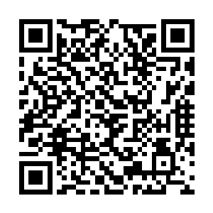他们对于传说中的沙漠怪物也有了一个初步的了解二维码生成