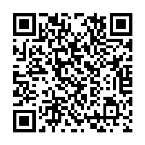 他们对于地底人或者说当权者也充满了愤懑和仇恨二维码生成