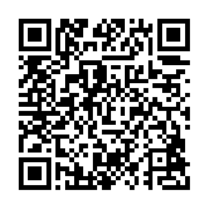 他们对于星兽肉特别是高级星兽肉的需求量很大二维码生成