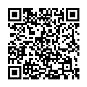 他们对杨开之前关于魔念的说法再也没什么质疑二维码生成