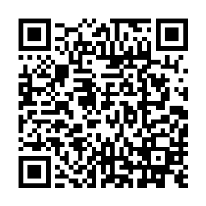 他们对眼前这位掌门更是有着一种无法用言语来形容的尊敬二维码生成