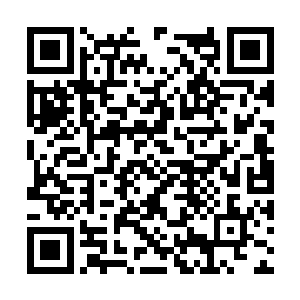 他们对这帮香港客入的信任度不知道为什么这么高二维码生成