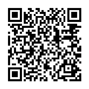 他们对这条怪蛇的理解仍旧停留在最原始的献祭层面上二维码生成