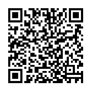 他们对这部预告片的接受度要比市场预估的更加良好二维码生成