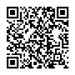 他们将封闭四州关押的大部分仙兽和仙妖全都放出来了二维码生成