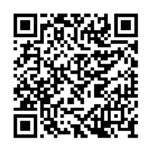 他们将每年考试的项目和通过的人全都记载下来二维码生成