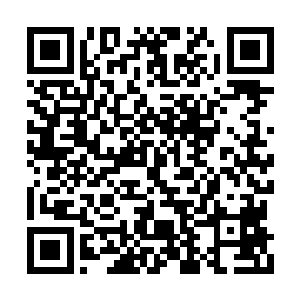 他们将目光放在了九大海族这九个蠢脑袋的身上二维码生成