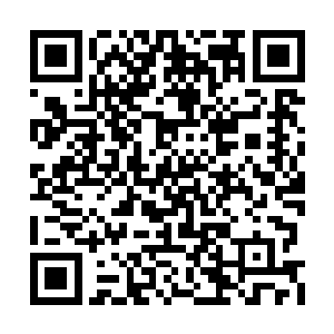 他们就一边鼓掌着一边猫着腰朝后方迈开了脚步二维码生成