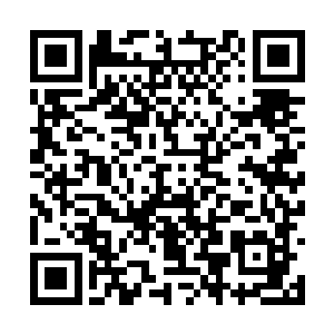 他们就不会在记得从前的荣耀只会记住他们的无能二维码生成