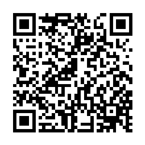 他们就像幽灵一般全身白衣白裤小心的进入了城池二维码生成