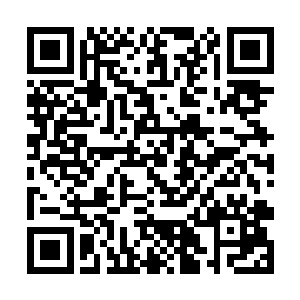 他们就像是一个源源不断的通过自己灵魂元力为媒介二维码生成