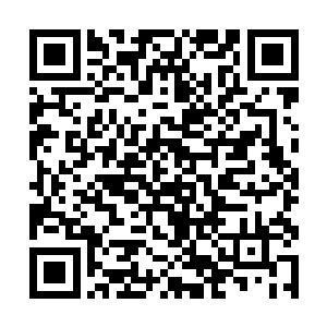 他们就可以尽力打压那些呼啸山脉中修士出售的材料二维码生成