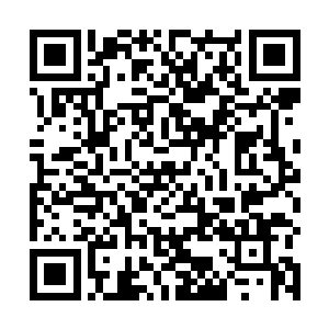 他们就可是联手去围杀那只圣级大圆满后期巅峰混沌兽二维码生成