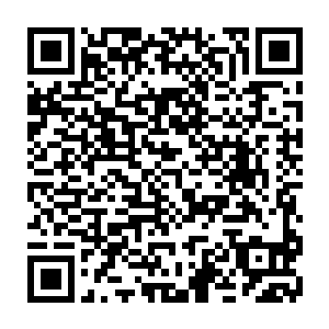 他们就在最短的时间内找到足够隐蔽且不碍事的地方把自己折叠一下藏好二维码生成