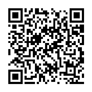 他们就好像是要将夏天和十三踩在脚下的感觉一样二维码生成