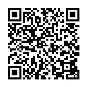 他们就如同一只潜伏的恶虎紧紧地注视着两个联盟的争斗二维码生成