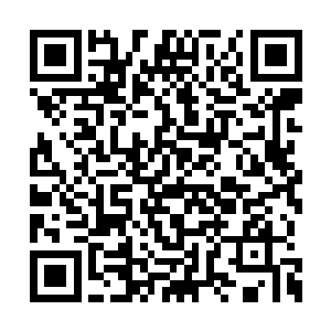 他们就已经来到了上次追踪玲珑他们的最后位置二维码生成