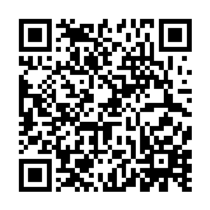 他们就已经知道在康正要去见他的妻子和儿女的时候二维码生成