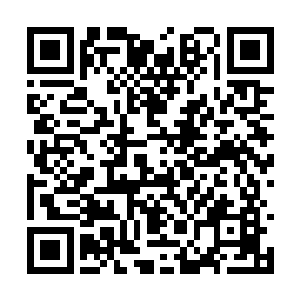 他们就已经赶来了…果真不愧为跟主角相关的事物二维码生成