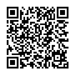 他们就恨不得把所有证据都光明正大地交到南诏王面前去二维码生成