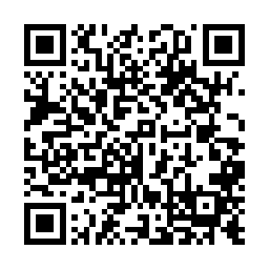 他们就是听出了蓝家主隐含的意思才对孟雅晴语气不善的二维码生成