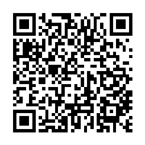 他们就是我在成都狮子山脚下见到过的那两个卖药材的藏人二维码生成