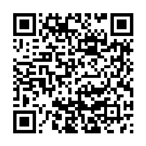 他们就是渴望着了解更多的先进的科学技术的知识二维码生成