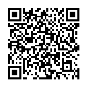 他们就是要在短时间内将这里的矿石和草药尽可能多的挖走二维码生成