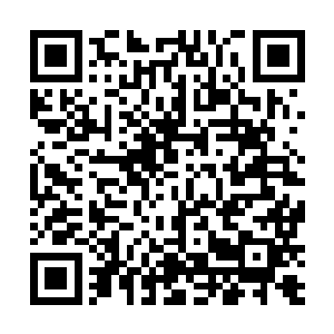 他们就是要用这幅戏耍的姿态看着苍狼派等人精疲力竭二维码生成