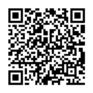 他们就有很大的把握将神恩学院的参赛者杀的大败而归了二维码生成