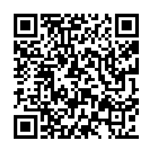 他们就立即带头让龟族成为我泰鸿家族的一部分二维码生成