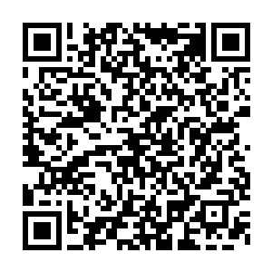 他们就算手段全部催动出来也不能够从这些家伙们身上讨到半点好处二维码生成