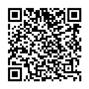 他们就越不容许主人格受欺负……这算是什么事二维码生成