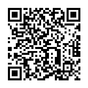 他们就越是搓火――打戏那都是没法演好文艺片的女星拍的二维码生成