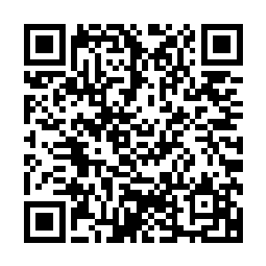 他们就遇到了另外一队同样骑着剑齿兽的骑兵们迎面奔驰而来二维码生成