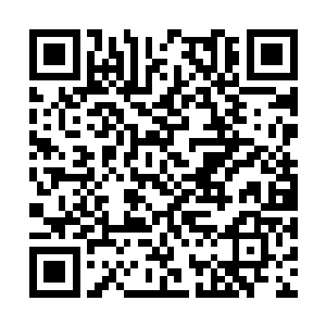 他们就遇到了越多来自五大至尊战堡的战舰兵尸体二维码生成