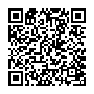 他们就需要等待很久很久才能再得到属于自己的墨巢二维码生成