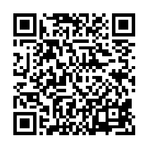 他们岂会眼睁睁的看着木林这般肆无忌惮的抓人二维码生成