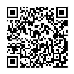 他们巨人族在这片密密的森林里生活了这么多年二维码生成