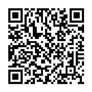 他们已经全都开始重新审视自己对夏天的看法了二维码生成