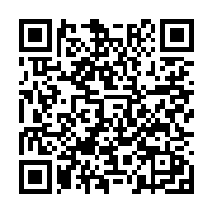 他们已经在不知不觉中习惯了张潇晗在其中的引导二维码生成