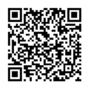 他们已经将路上想要赶回来的魔丸宗之人全部灭杀了二维码生成