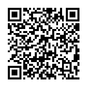 他们已经开始怀疑无极宗才是背后一切的推手了二维码生成