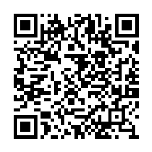 他们已经很久很久没有见到过这样血腥的场景了二维码生成